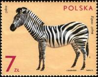 (1972-030) Марка Польша "Зебра"    Животные из зоопарка III Θ